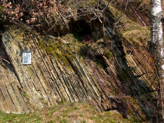 Geologischer Lehrpfad Station 8