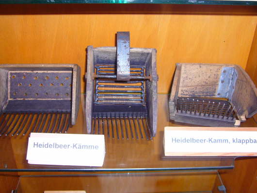 Heidelbeer - Kmme